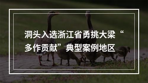 洞头入选浙江省勇挑大梁“多作贡献”典型案例地区