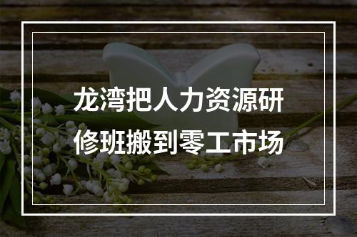 龙湾把人力资源研修班搬到零工市场