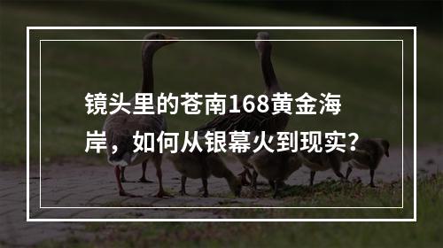 镜头里的苍南168黄金海岸，如何从银幕火到现实？