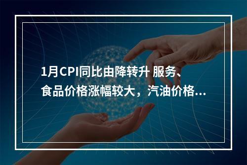 1月CPI同比由降转升 服务、食品价格涨幅较大，汽油价格回升