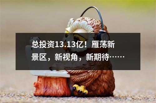 总投资13.13亿！雁荡新景区，新视角，新期待……