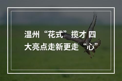 温州“花式”揽才 四大亮点走新更走“心”
