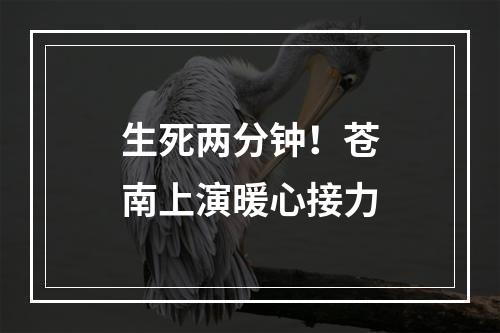 生死两分钟！苍南上演暖心接力