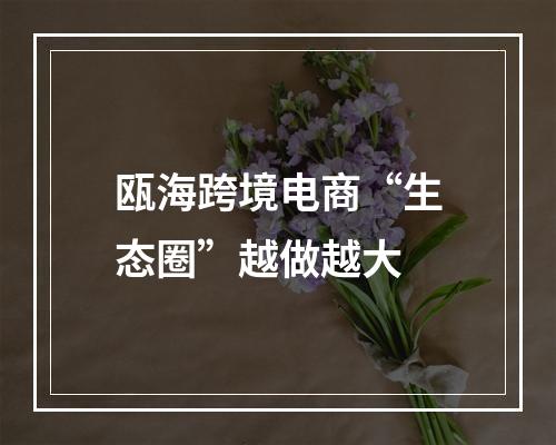 瓯海跨境电商“生态圈”越做越大