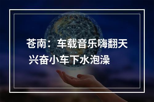 苍南：车载音乐嗨翻天 兴奋小车下水泡澡