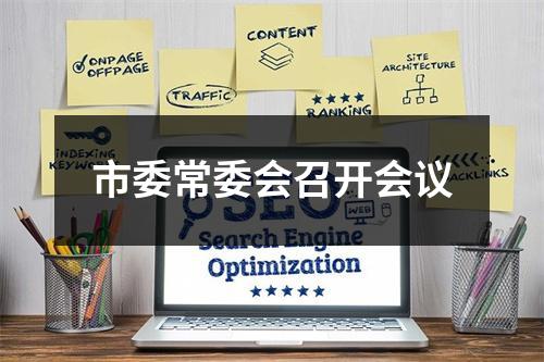 市委常委会召开会议