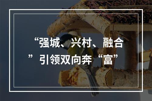 “强城、兴村、融合”引领双向奔“富”