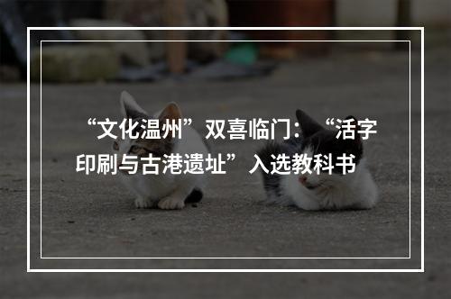 “文化温州”双喜临门：“活字印刷与古港遗址”入选教科书