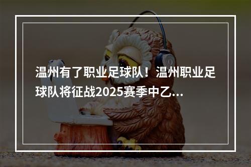 温州有了职业足球队！温州职业足球队将征战2025赛季中乙联赛