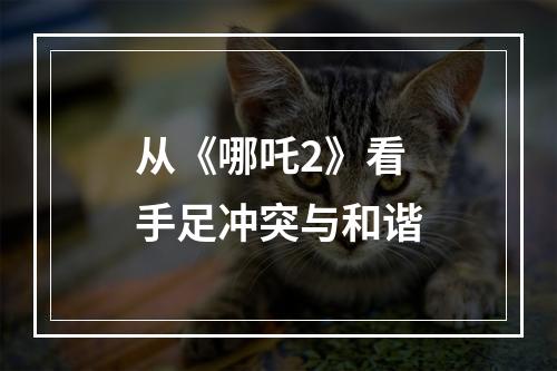 从《哪吒2》看手足冲突与和谐