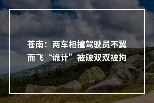 苍南：两车相撞驾驶员不翼而飞“诡计”被破双双被拘
