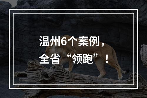 温州6个案例，全省“领跑”！