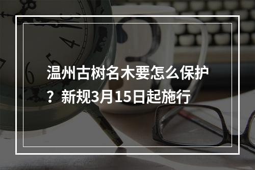 温州古树名木要怎么保护？新规3月15日起施行