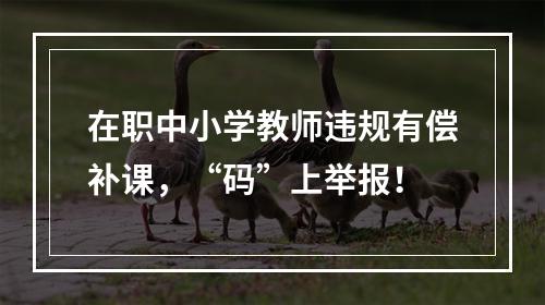 在职中小学教师违规有偿补课，“码”上举报！