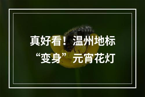 真好看！温州地标“变身”元宵花灯