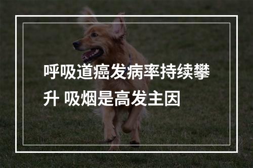 呼吸道癌发病率持续攀升 吸烟是高发主因
