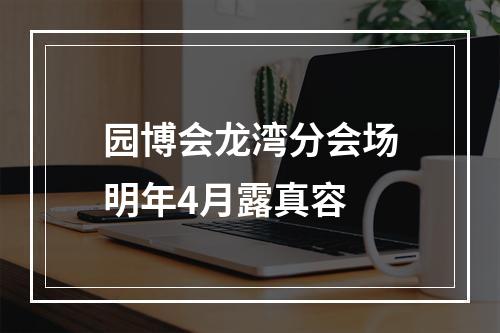 园博会龙湾分会场明年4月露真容