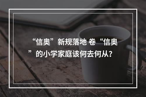 “信奥”新规落地 卷“信奥”的小学家庭该何去何从？