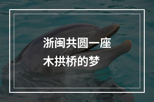 浙闽共圆一座木拱桥的梦