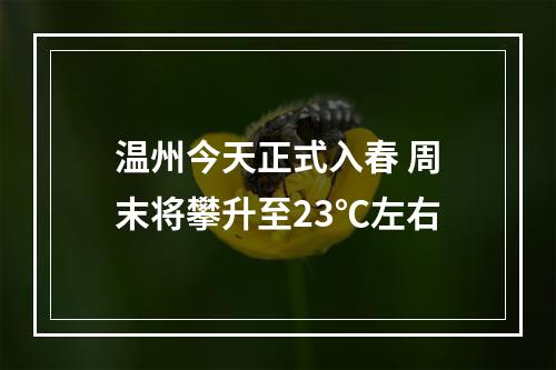 温州今天正式入春 周末将攀升至23℃左右