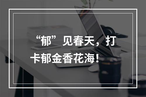 “郁”见春天，打卡郁金香花海！