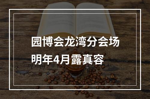 园博会龙湾分会场明年4月露真容