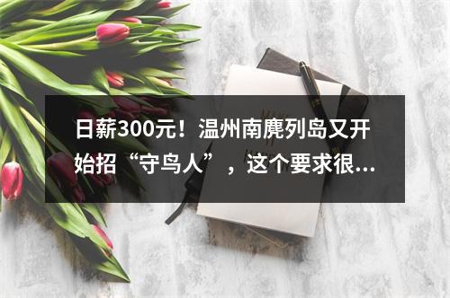 日薪300元！温州南麂列岛又开始招“守鸟人”，这个要求很关键……