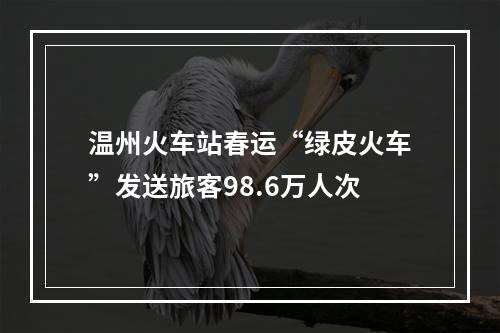 温州火车站春运“绿皮火车”发送旅客98.6万人次