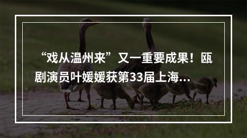 “戏从温州来”又一重要成果！瓯剧演员叶媛媛获第33届上海白玉兰奖新人配角奖