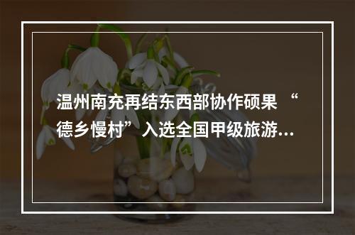 温州南充再结东西部协作硕果 “德乡慢村”入选全国甲级旅游民宿名单