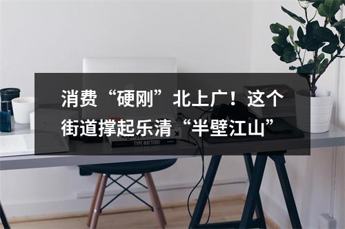 消费“硬刚”北上广！这个街道撑起乐清“半壁江山”