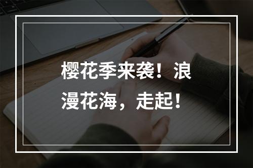 樱花季来袭！浪漫花海，走起！