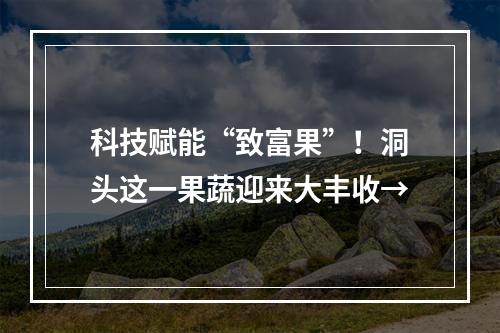 科技赋能“致富果”！洞头这一果蔬迎来大丰收→
