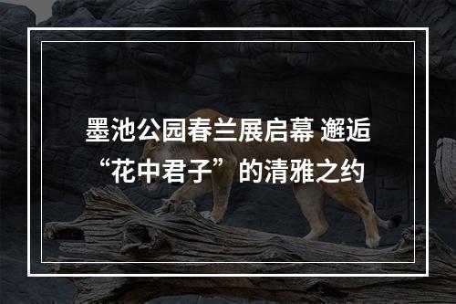 墨池公园春兰展启幕 邂逅“花中君子”的清雅之约