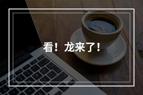 看！龙来了！