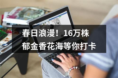 春日浪漫！16万株郁金香花海等你打卡
