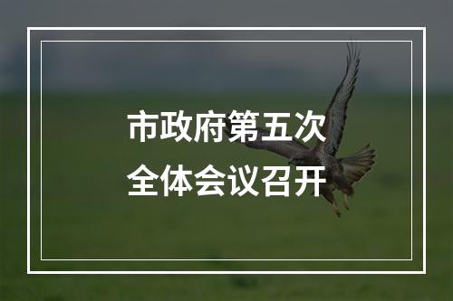 市政府第五次全体会议召开
