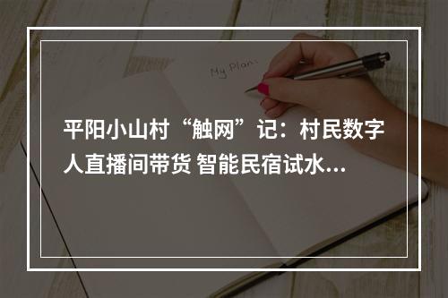平阳小山村“触网”记：村民数字人直播间带货 智能民宿试水无人管理