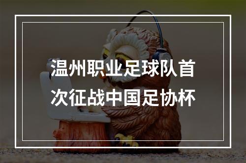 温州职业足球队首次征战中国足协杯