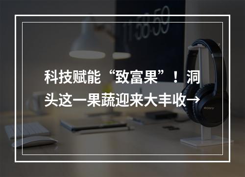 科技赋能“致富果”！洞头这一果蔬迎来大丰收→