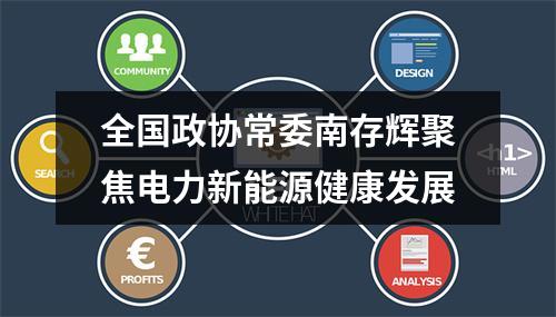 全国政协常委南存辉聚焦电力新能源健康发展