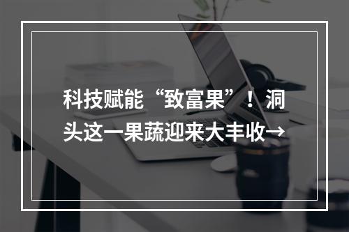 科技赋能“致富果”！洞头这一果蔬迎来大丰收→