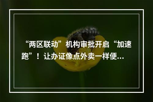 “两区联动”机构审批开启“加速跑”！让办证像点外卖一样便捷