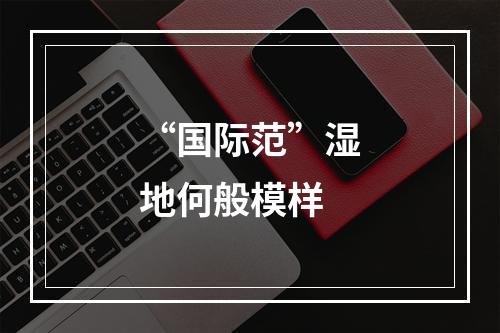 “国际范”湿地何般模样