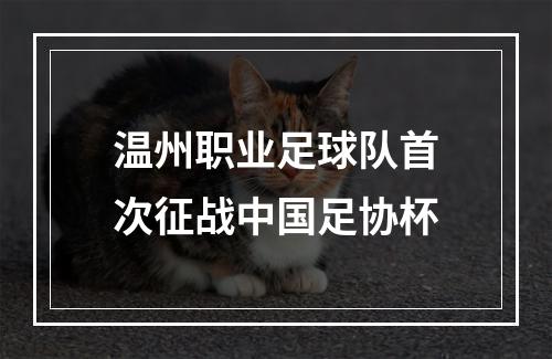 温州职业足球队首次征战中国足协杯