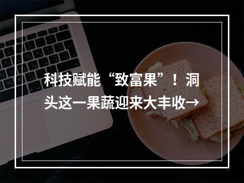 科技赋能“致富果”！洞头这一果蔬迎来大丰收→