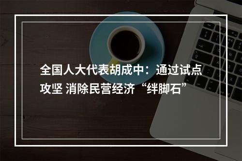 全国人大代表胡成中：通过试点攻坚 消除民营经济“绊脚石”