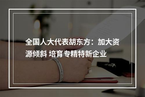 全国人大代表胡东方：加大资源倾斜 培育专精特新企业