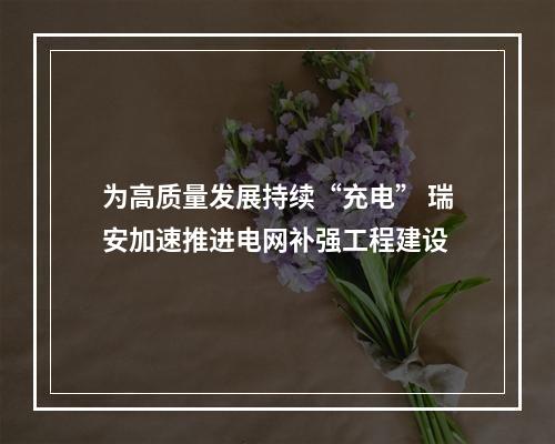 为高质量发展持续“充电” 瑞安加速推进电网补强工程建设