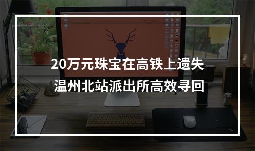 20万元珠宝在高铁上遗失 温州北站派出所高效寻回